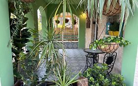 Casa Camellia Metula
